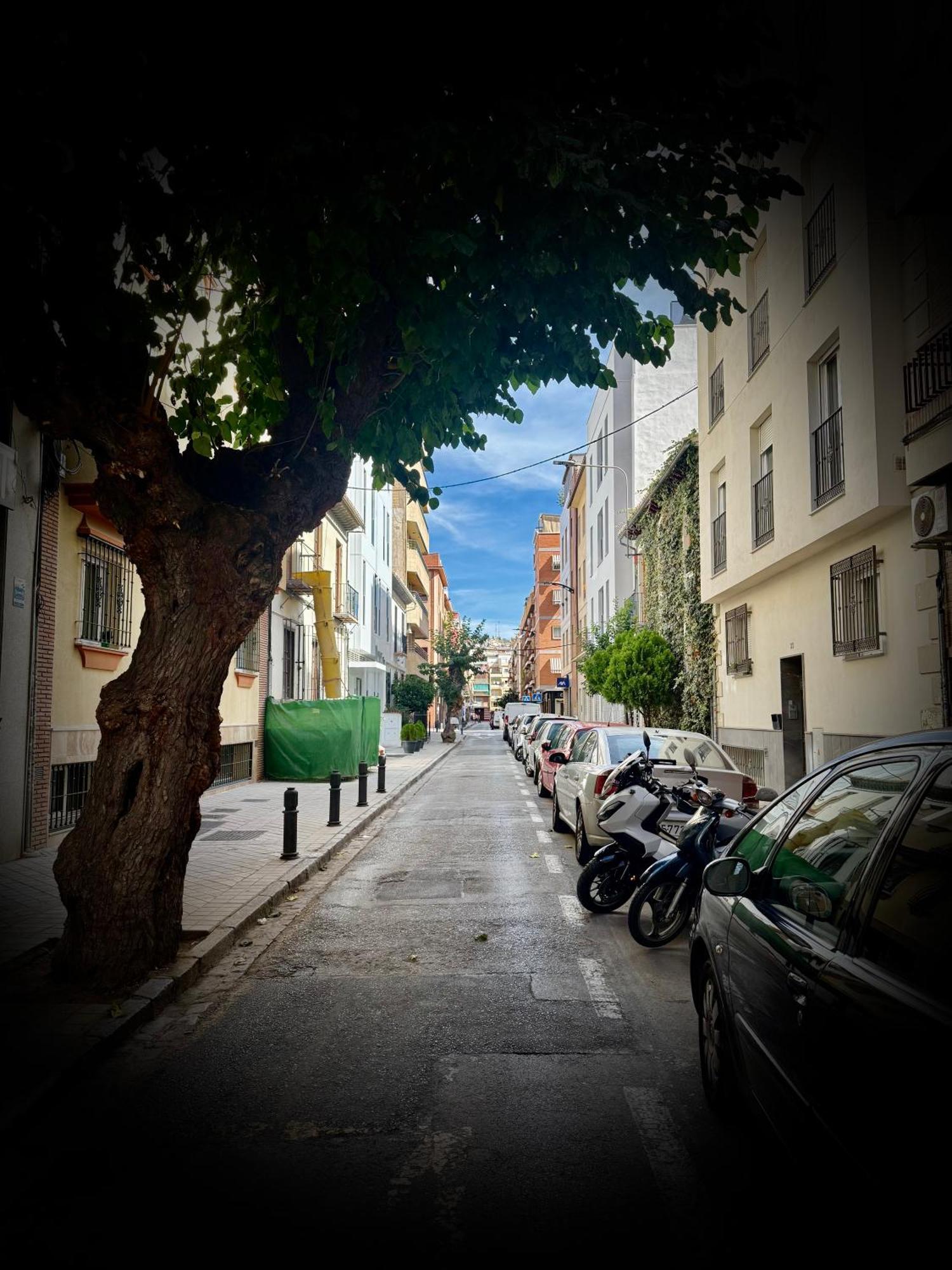 Centrico Apartamento Con Parking Granada Exteriör bild