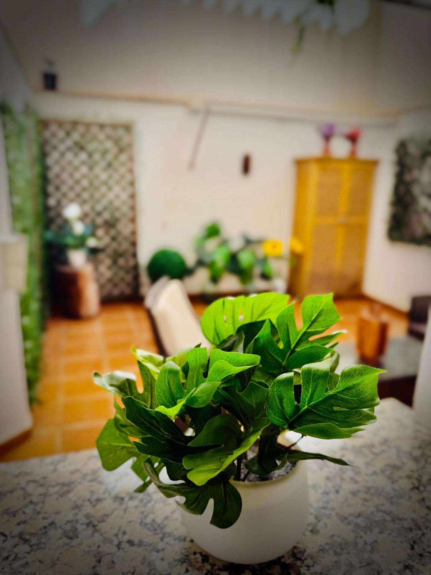 Centrico Apartamento Con Parking Granada Exteriör bild